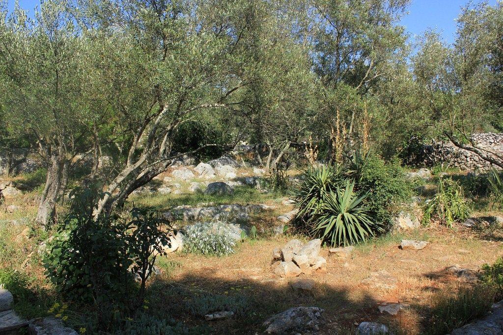Secluded Fisherman'S Cottage Cove Magrovica - Telascica, Dugi Otok - 8142 サリ エクステリア 写真